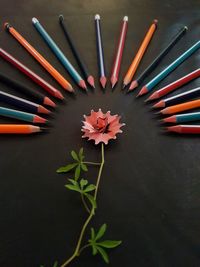 High angle view of multi colored pencils on table