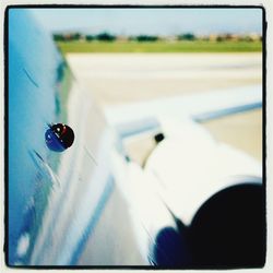 Close-up of insect on road