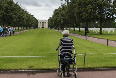 Rear view of people sitting on grassland against trees