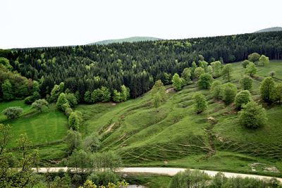 Scenic view of landscape against clear sky