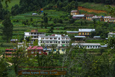 High angle view of trees and houses in city