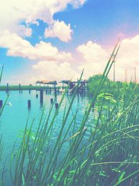 Scenic view of landscape against blue sky