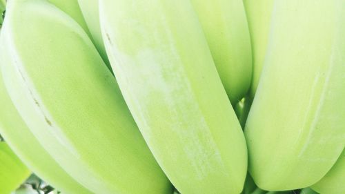 Full frame shot of green beans