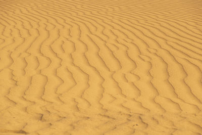 Full frame shot of sand dune