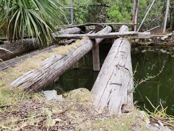 Wooden bridge in forest