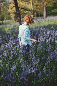 Woman standing amidst purple flowering plants at forest