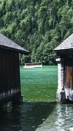 Scenic view of lake in forest