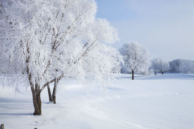 Snow covered field against sky