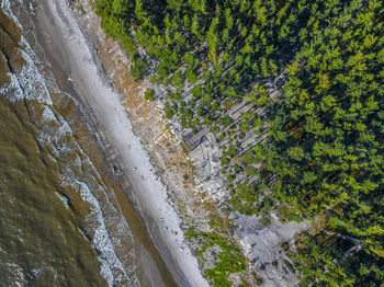 Directly above shot of sea shore
