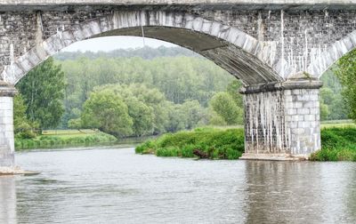 Arch bridge over river in forest