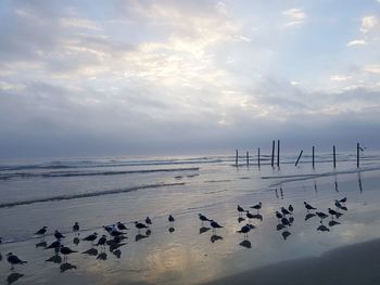 Scenic view of sea against sky