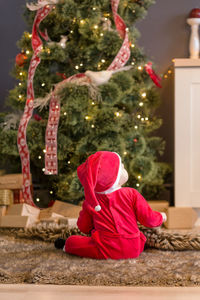 Rear view of christmas tree