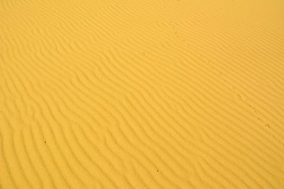 Full frame shot of sand dune