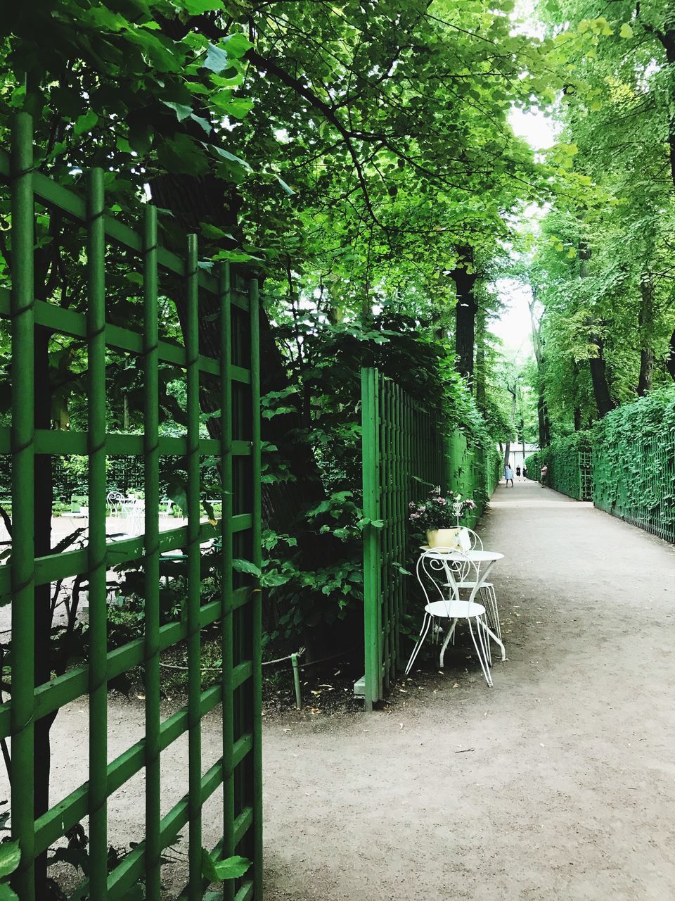 EMPTY CHAIRS AND TABLE IN YARD