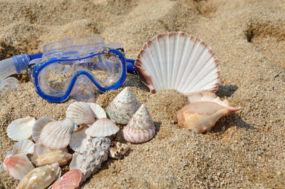 Group of different seashells collected on pile and diving mask, on a sandy beach