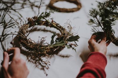 Low section of person holding plant