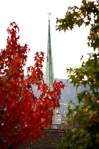 Low angle view of autumn trees against building