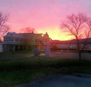 Bare trees and houses at sunset