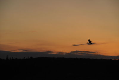 Silhouette of bird flying against orange sky