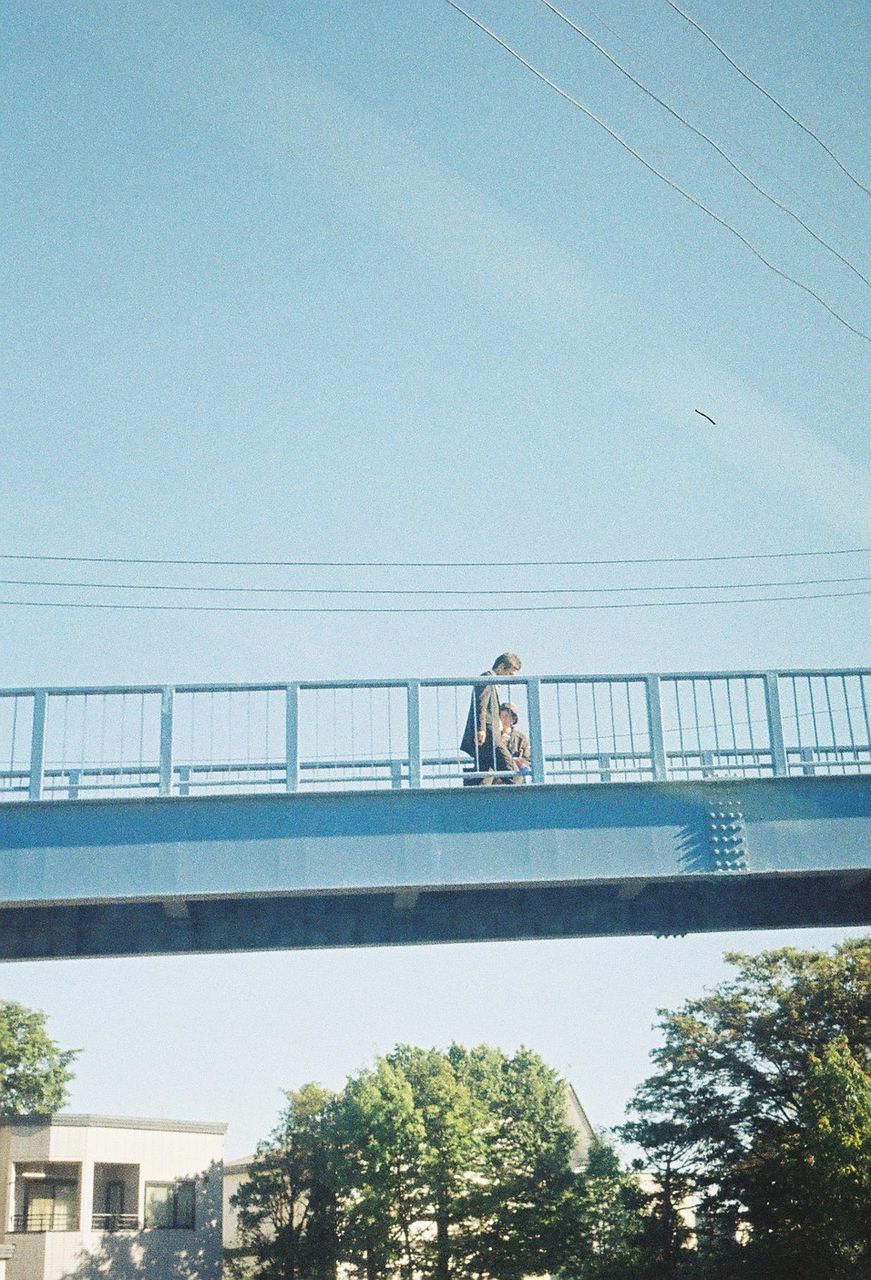 tree, built structure, architecture, clear sky, blue, low angle view, bridge - man made structure, building exterior, transportation, railing, connection, lifestyles, men, day, leisure activity, copy space, outdoors, sky