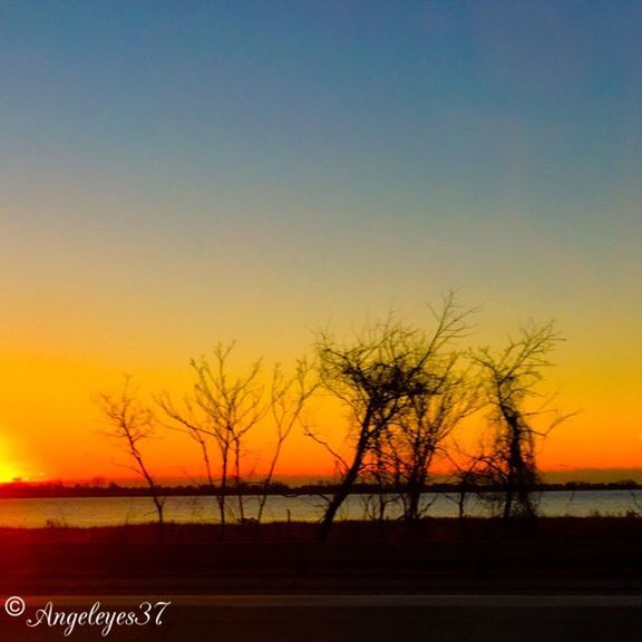 sunset, water, tranquil scene, tranquility, scenics, silhouette, beauty in nature, bare tree, tree, orange color, nature, idyllic, clear sky, branch, lake, sea, sky, reflection, horizon over water, non-urban scene