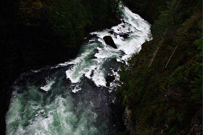 Water flowing through rocks in forest