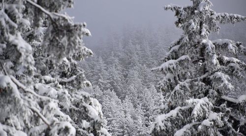 Close-up of snow against sky during winter