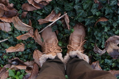 Low section of woman in autumn leaves