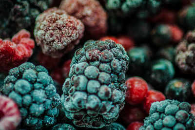 Close-up of fruits