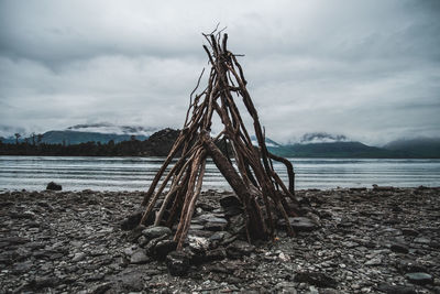 Driftwood on beach against sky