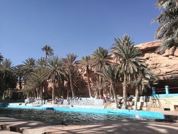 Swimming pool by trees against clear sky