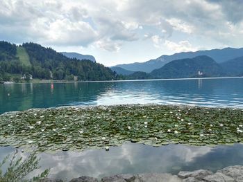 Scenic view of lake and mountains against sky