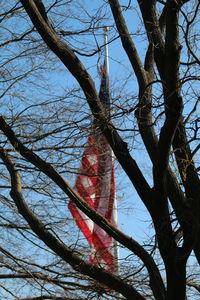 Low angle view of tree against sky