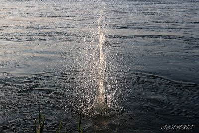 Scenic view of sea