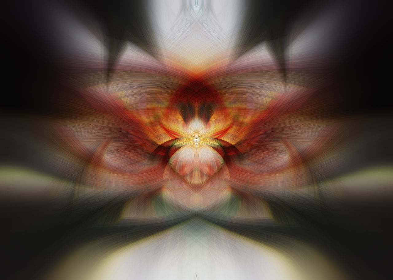 DIGITAL COMPOSITE IMAGE OF ILLUMINATED FLOWER AND WHITE LIGHT