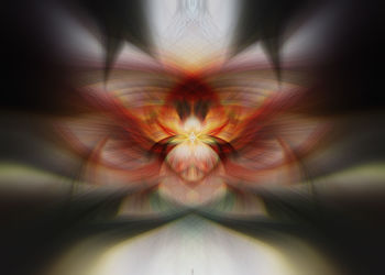 Digital composite image of illuminated flower