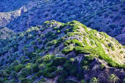 Mountain range on la gomera canary island in spain