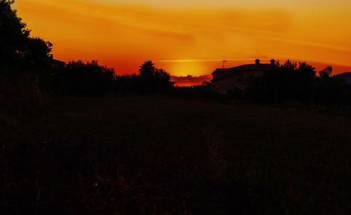 Silhouette trees on field against orange sky