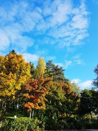 Low angle view of trees against sky during autumn