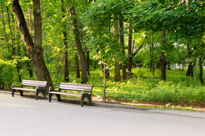 Empty bench in park