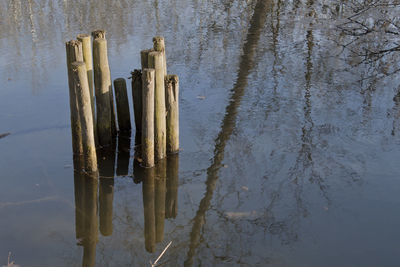 High angle view of wooden post in lake