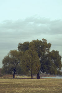 Man tree against sky