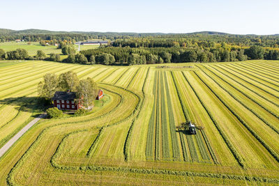 Aerial view of tractor working in green field