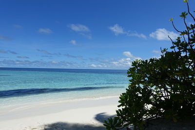 Scenic view of sea against blue sky