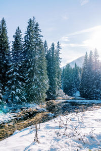 Scenic view of snow covered landscape against sky