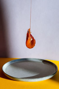 Balancing flying red shrimp on a gray plate and yellow background. trendy colors. minimalistic 