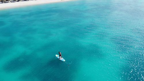 Aerial view of person paddleboarding in sea