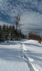 Snow covered field against sky