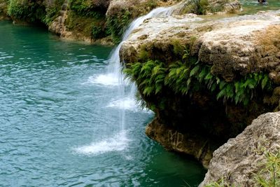 Scenic view of waterfall in forest