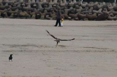 Full length of man walking on shore